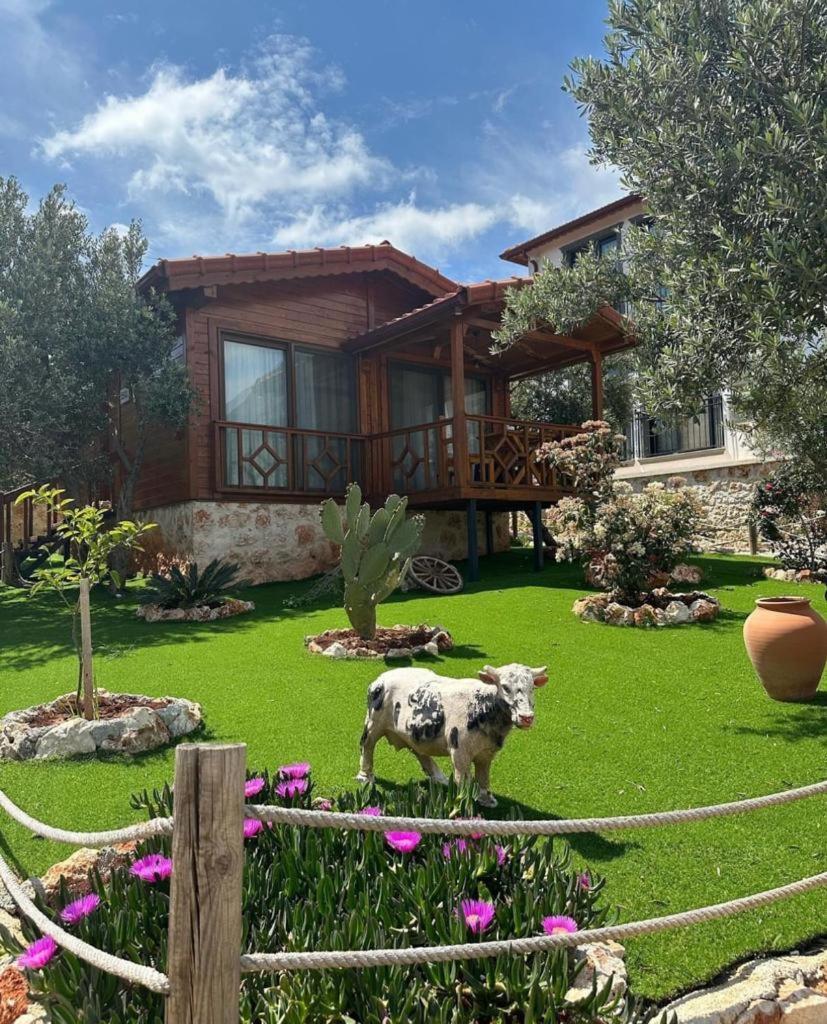 Doganin Ruhu Hotel & Bungalow Kaş Exterior foto