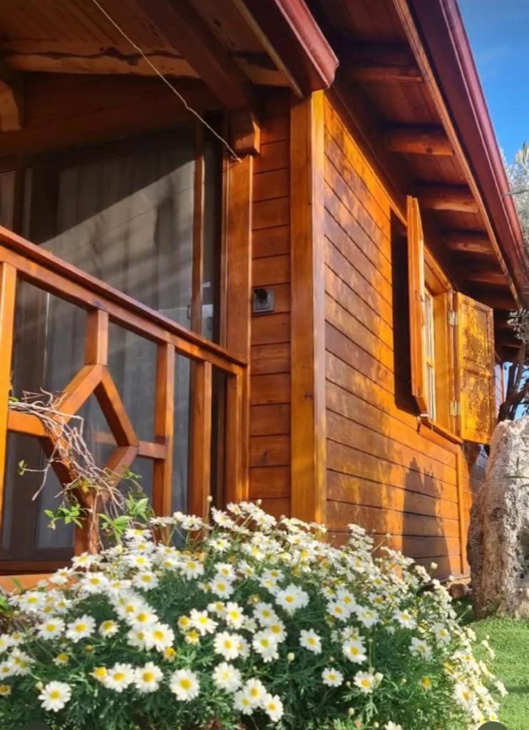 Doganin Ruhu Hotel & Bungalow Kaş Exterior foto